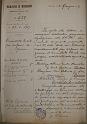 1917-06-05 Comitato locale pro orfani di guerra